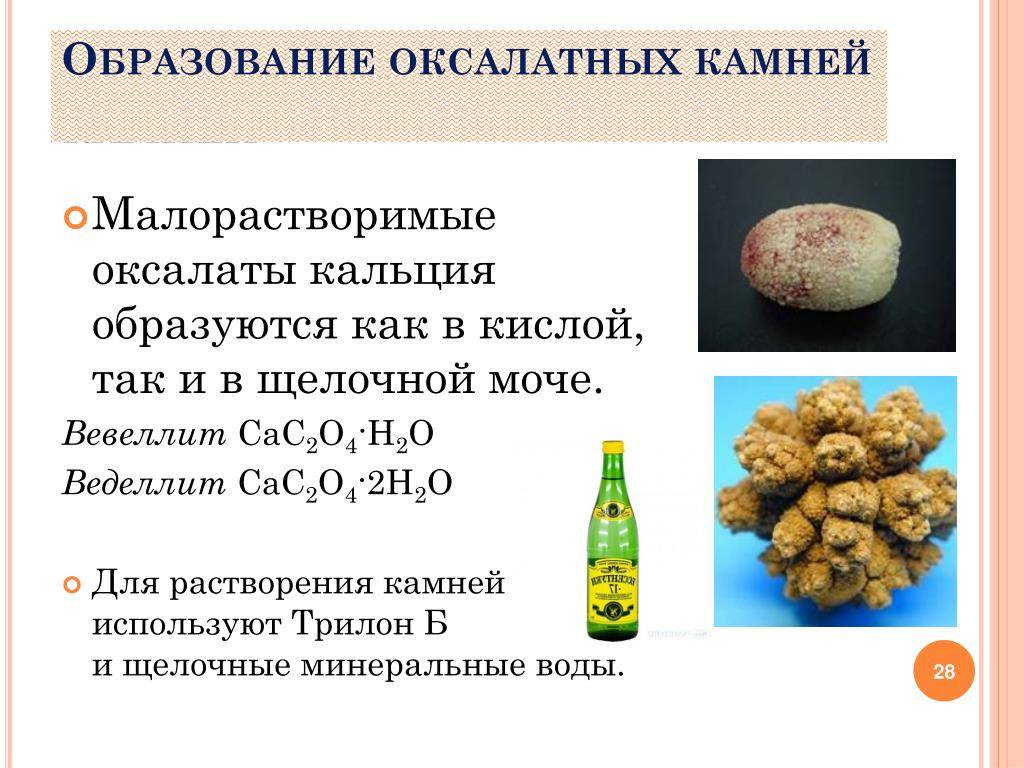 Анализ мочи, расшифровка -  нормы белка, эритроцитов, лейкоцитов, глюкозы, эпителия, билирубина, цилиндров и бактерий