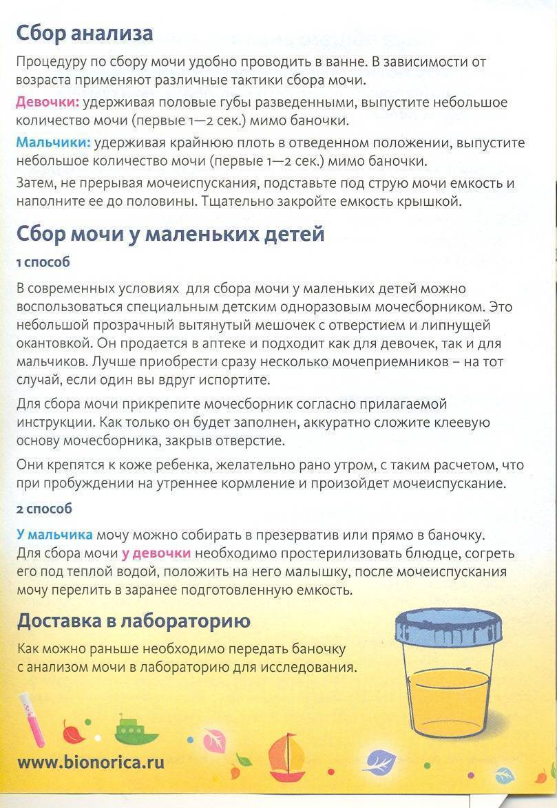 Сколько достаточно мочи для анализа грудничка - детская городская поликлиника №1 г. магнитогорска
