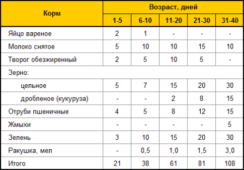 Можно ли кормить индюшат