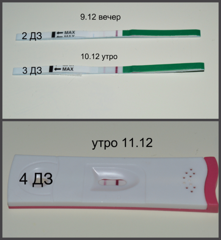 Можно ли делать тест на беременность во время месячных