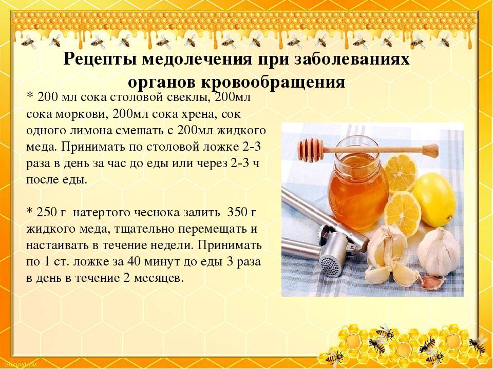 Дрожжи: действие на организм, польза и вред | food and health