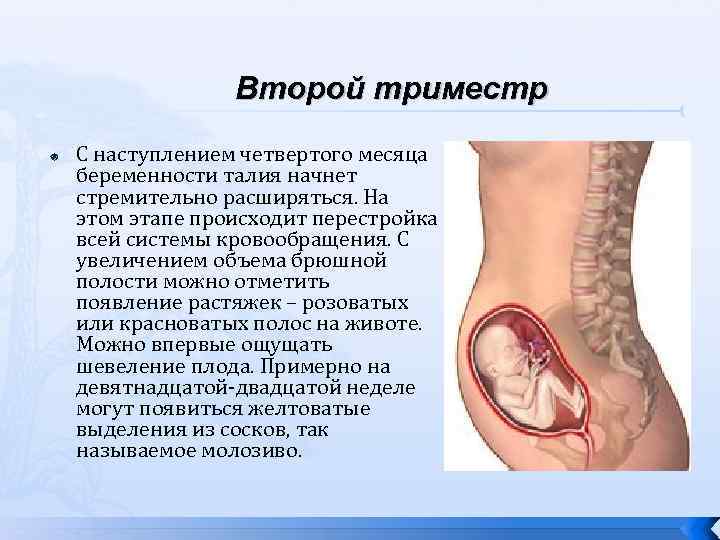 4 триместр беременности или донашивание ребенка - лямусик