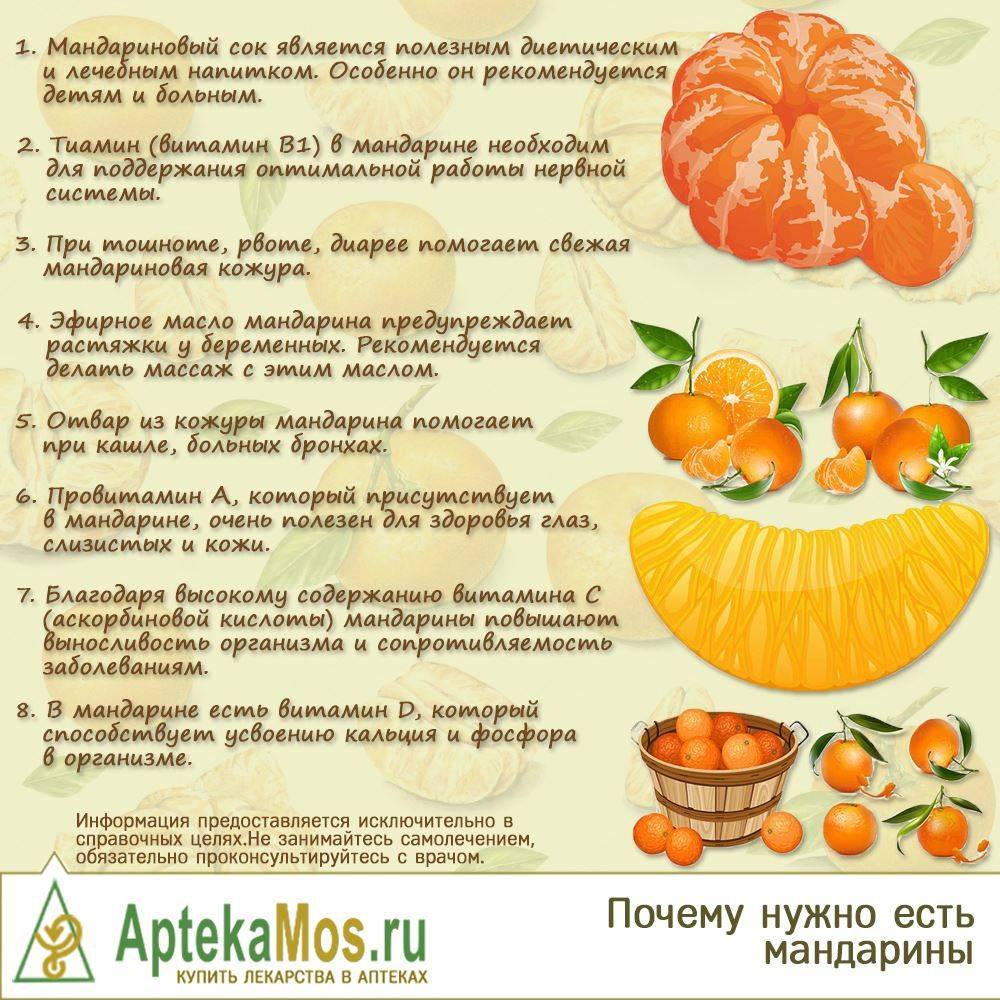 Мандарины при грудном вскармливании: можно ли есть в первый месяц, в 2, 3, 4, 5 и 6 месяцев, полезные свойства и противопоказания