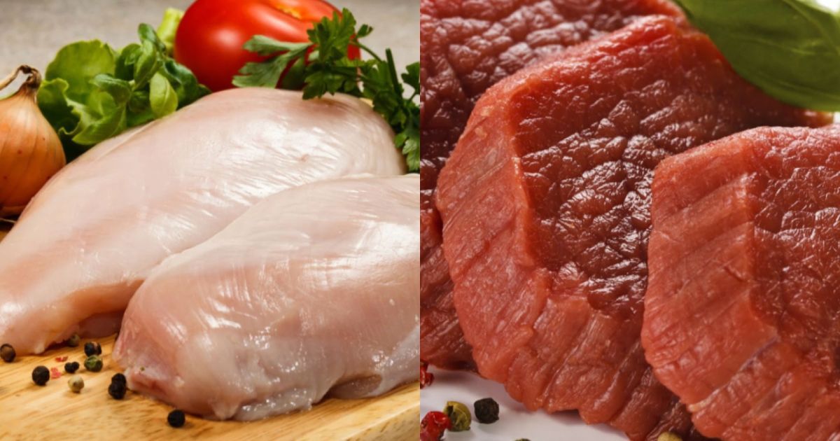 Блюда из куриной грудки – что приготовить из курицы на первое и второе, диетические блюда при гв