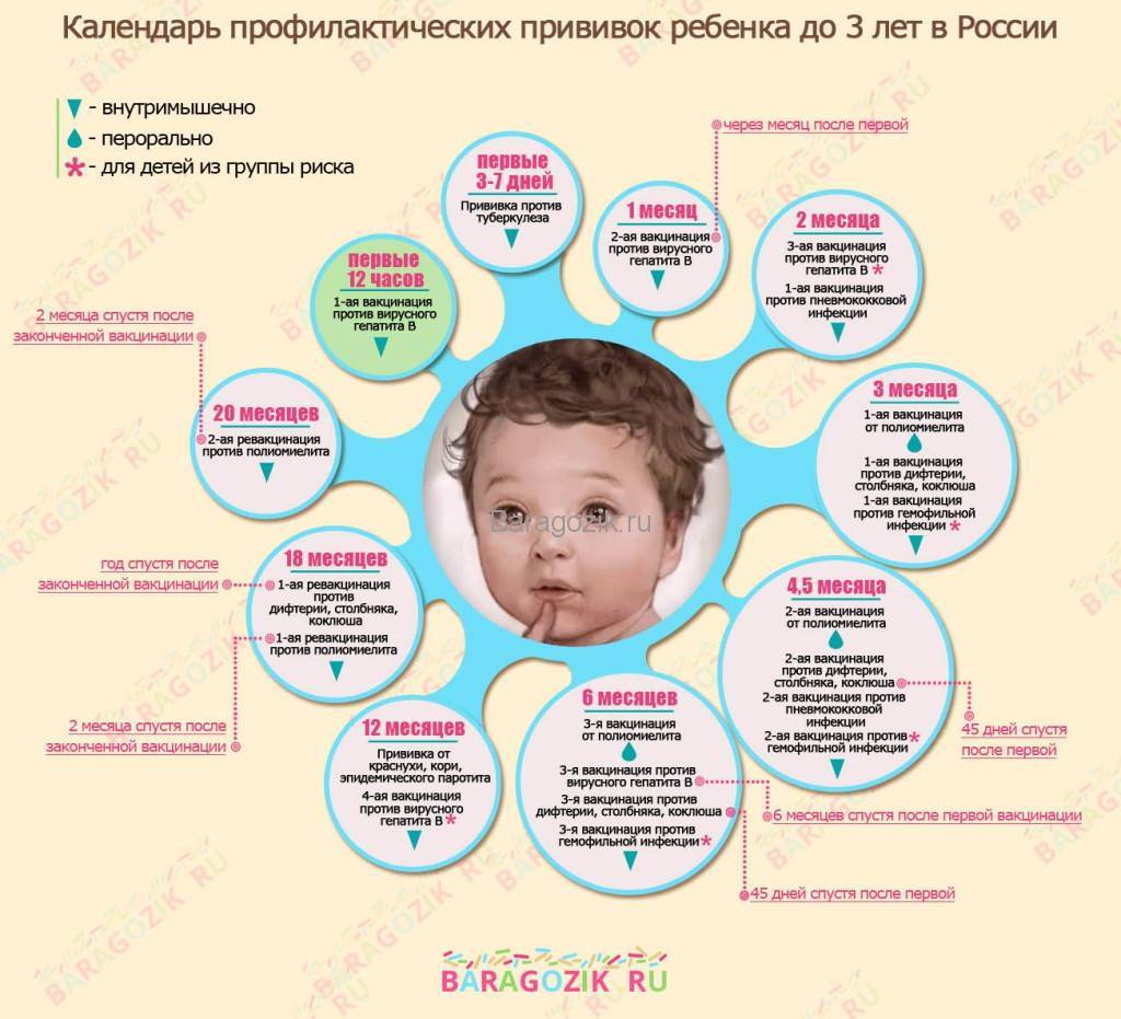 Календарь прививок для детей до 1 года: график в россии, таблица по месяцам, какие делают грудничкам