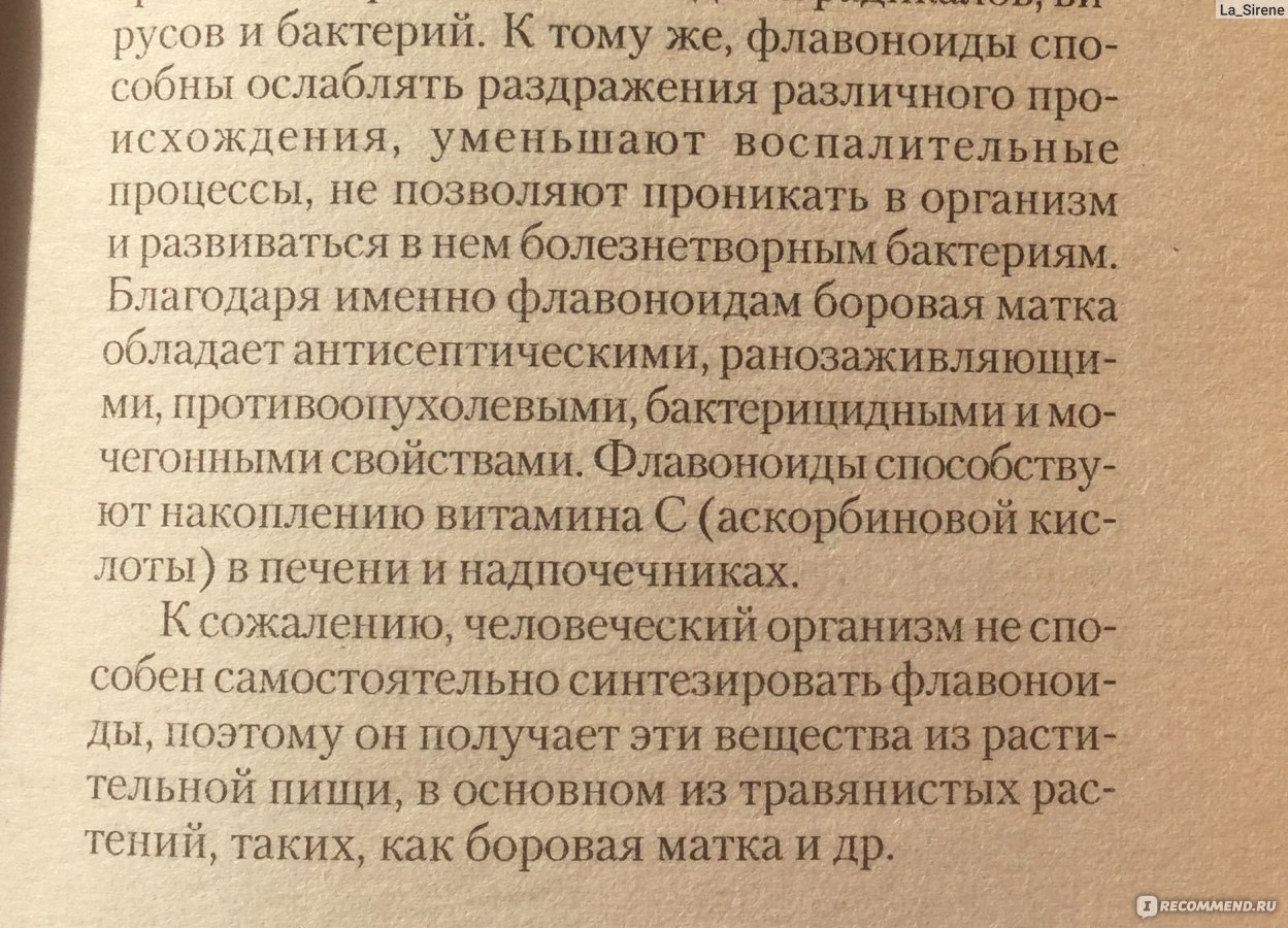 Матка отзывы женщин. Боровая матка для зачатия. Баровая матка показания. Боровая матка отзывы для зачатия. Настойка Боровой матки для зачатия.