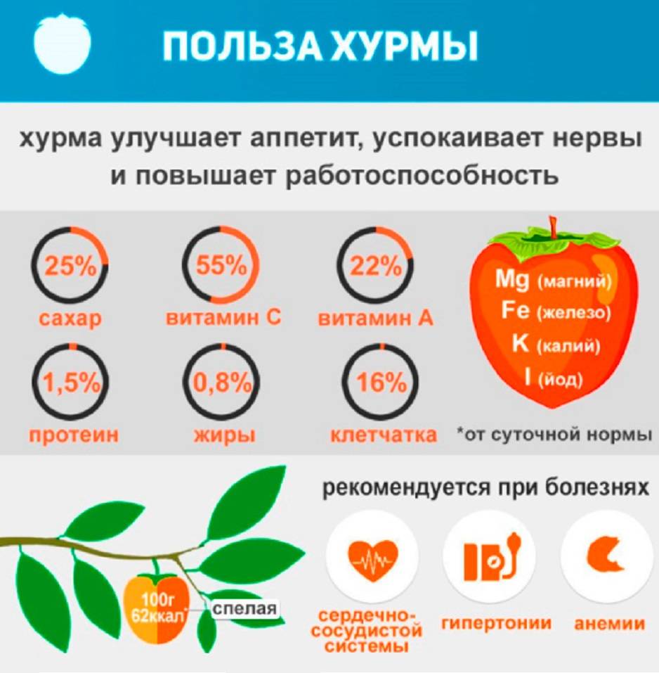 Схватки: как понять что они начались, ощущения при схватках - симптомы, тренировочные, ложные