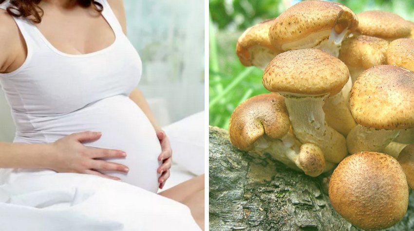 Можно ли грибы беременным – есть маринованные домашние, жаренные, соленые