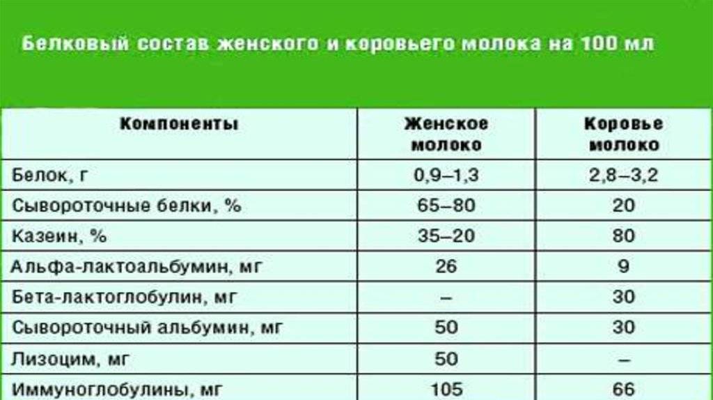 С какого возраста ребенку можно давать магазинное молоко