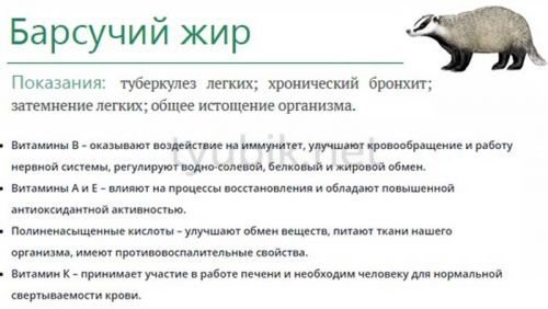 Пяточная шпора