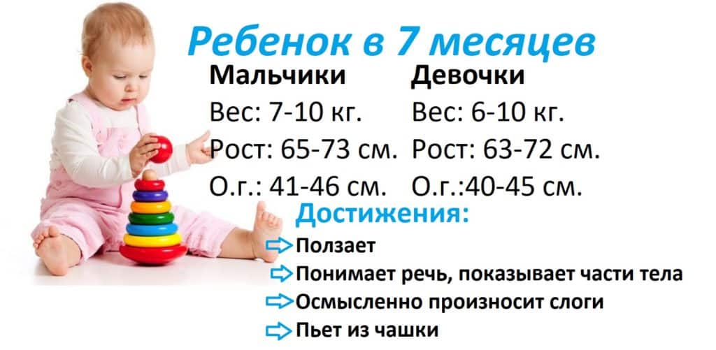 Ребенку 7 месяцев: развитие ребенка в 7 месяцев, вес, рост, режим дня
