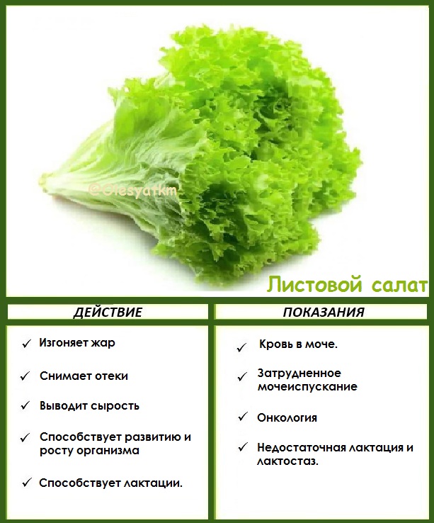 Можно ли листья салата при дюкане