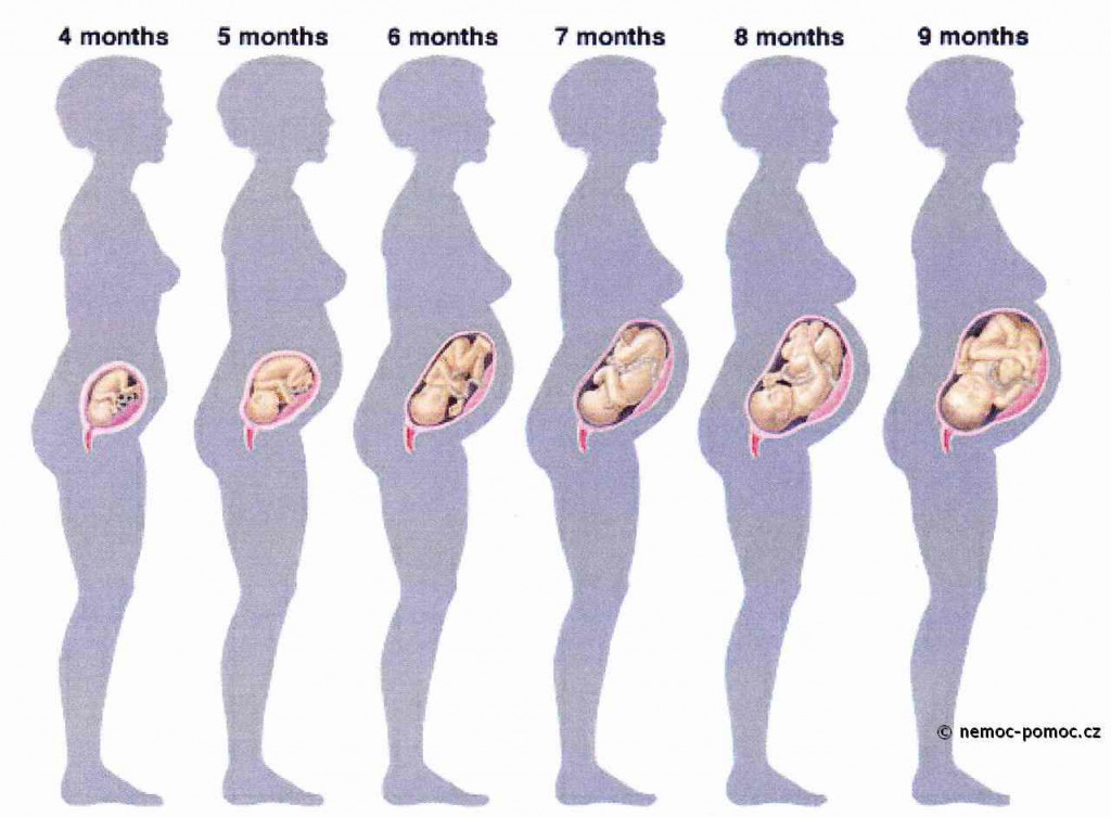 Как выглядит плод на 4 месяце беременности фото