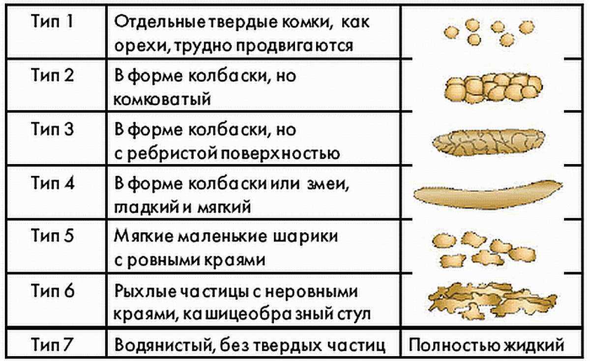 Стул ребенка (младенца): нормы, причины, виды патологии