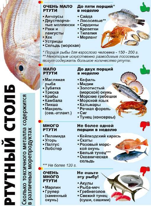 Какую рыбу можно давать ребенку в 9-10 месяцев, с какой начинать прикорм, когда?