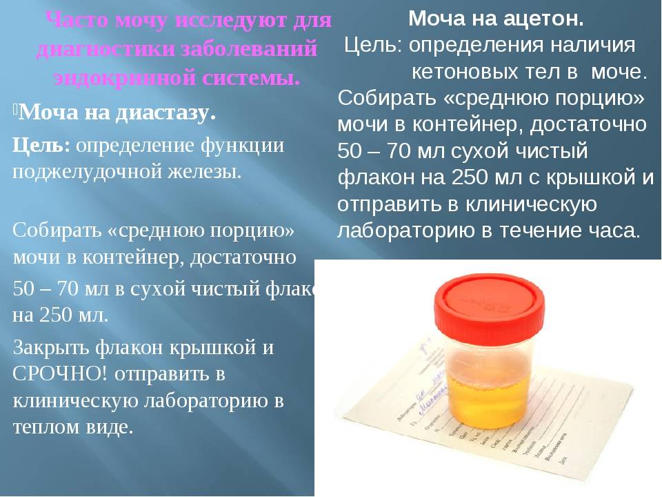 Анализ кала на яйца глист (гельминтов). соскоб на энтеробиоз у детей и взрослых. как правильно подготовиться?