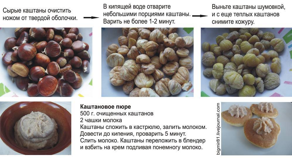 Орехи при грудном вскармливании: грецкие, кедровые и другие