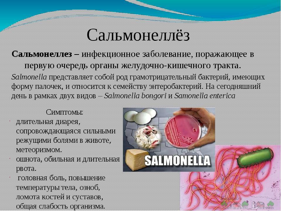 Профилактика сальмонеллеза: клиника, патогенез – эл клиника