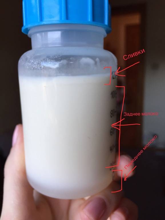 Как определить жирность молока коровы в домашних условиях?