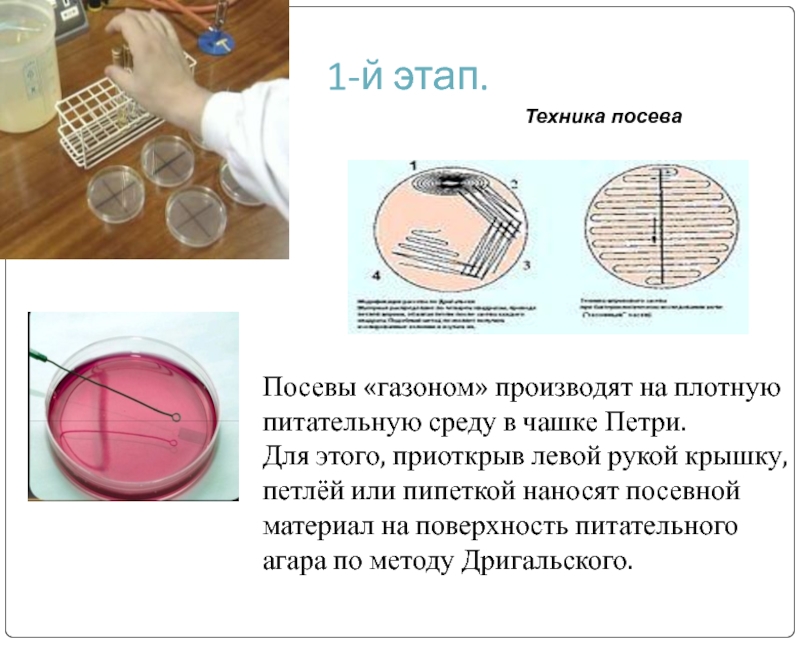 Что нужно знать молодой маме о грудном вскармливании