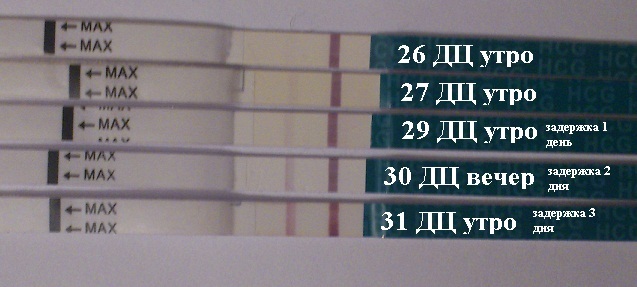 Тест на беременность, если вторая полоска еле видна, что это означает?