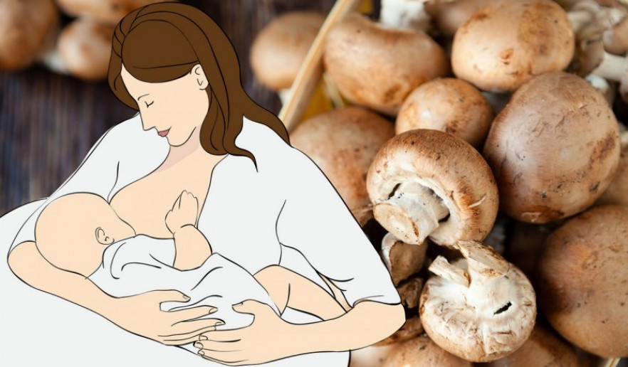 Можно ли соленые грибы кормящей маме при грудном вскармливании