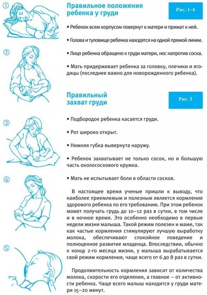 Как правильно кормить ребенка грудью: 7 важных правил прикладывания к груди, видео