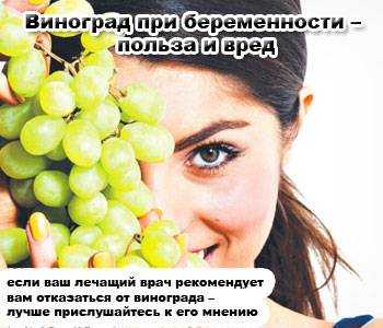Польза и вред винограда при беременности