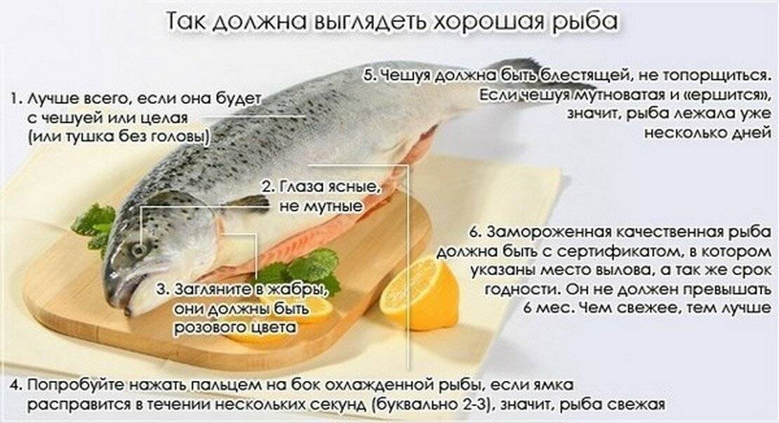 Какую рыбу можно давать 9 месячному малышу или питание ребенка в 9 месяцев, о рыбке: как выбрать и приготовить, особенности