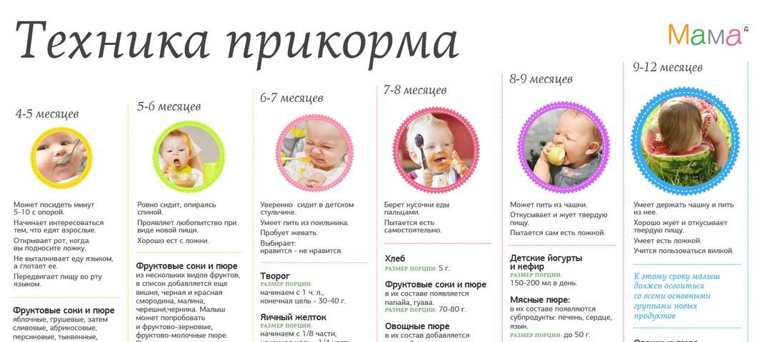 Прикорм по комаровскому. схемы прикорма при грудном вскармливании :: syl.ru