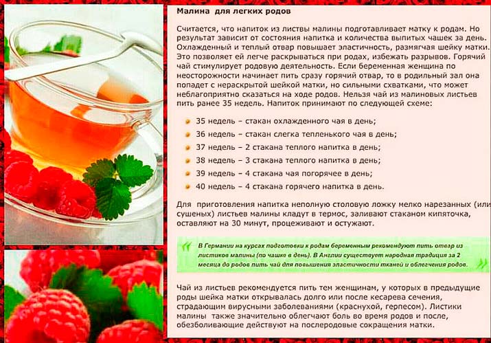 Малина при беременности: польза и вред ягод, листьев и чая