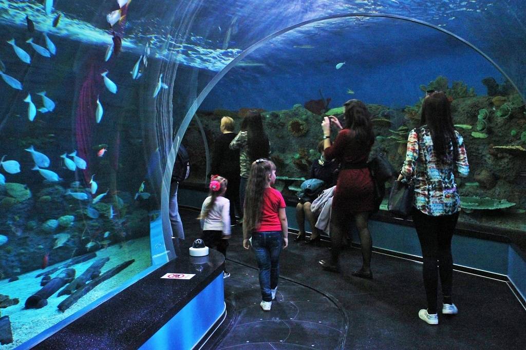 Куда пойти в геленджике летом лучшие места