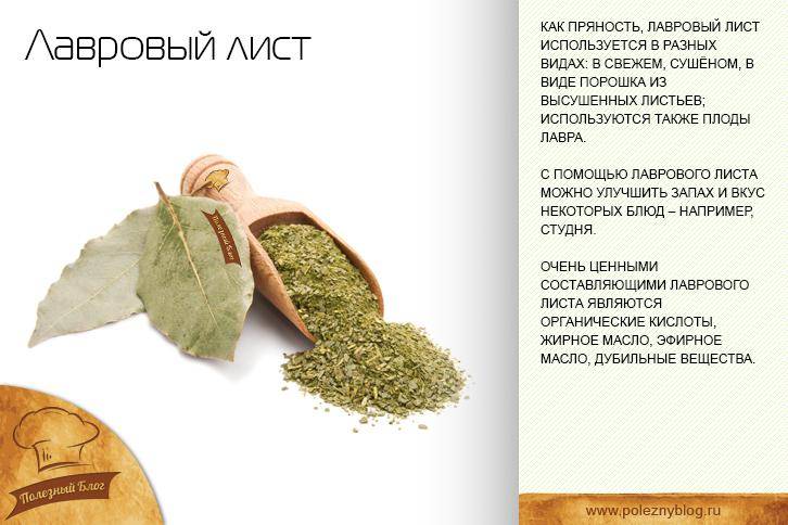 Лавровый лист от аллергии: отвар для новорожденного, ребенка и взрослого, а также настой и настойка | moninomama.ru