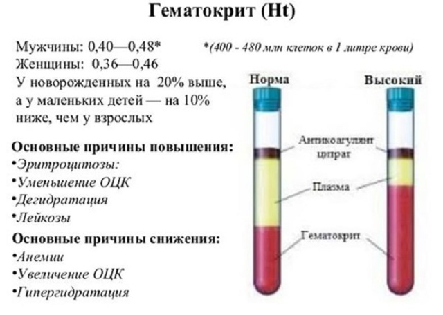 Анализ крови на гематокрит