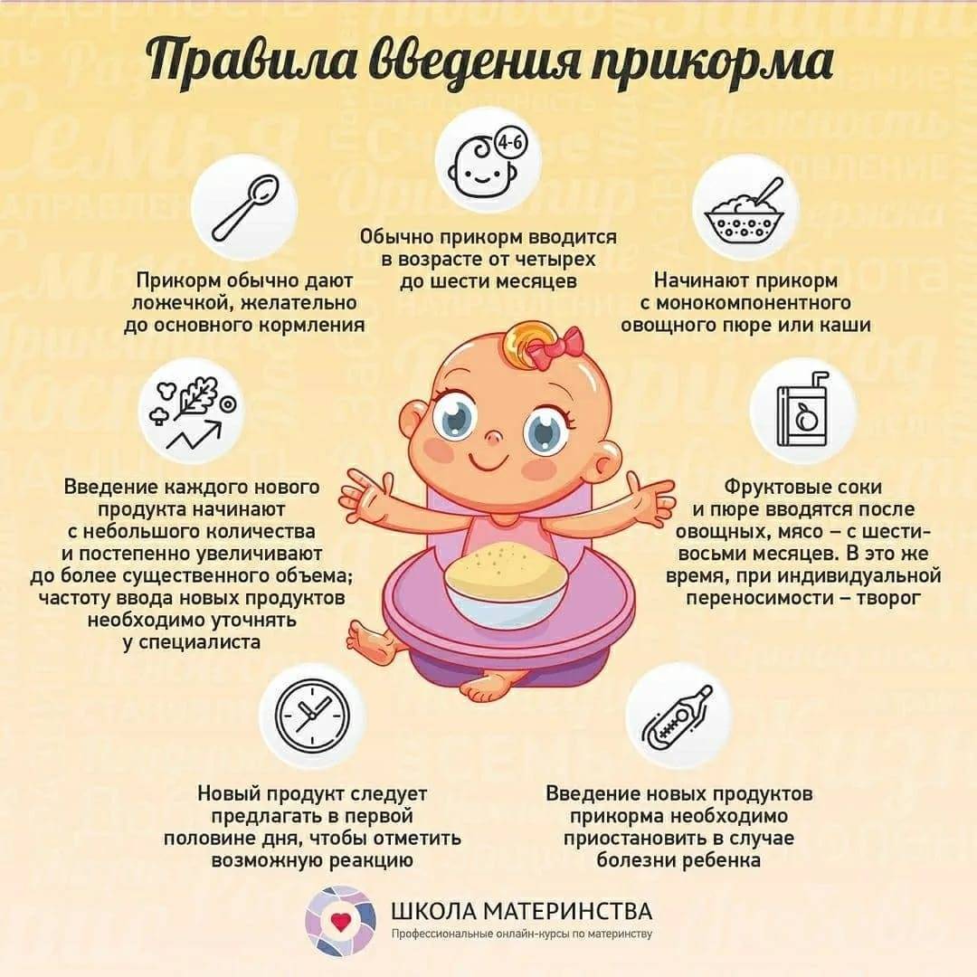 6 месяцев ребенку: что должен уметь делать, навыки малыша в полгода
