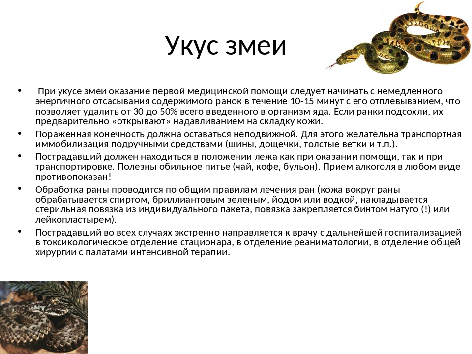 Энтеробиоз у детей