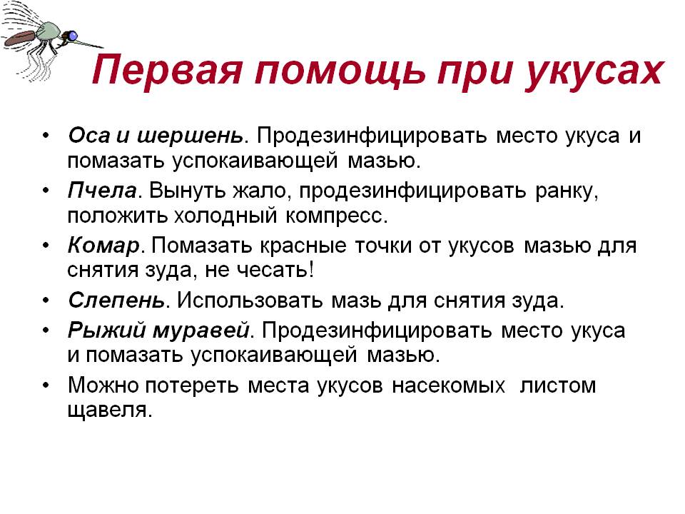 Ребенка укусила пчела или оса