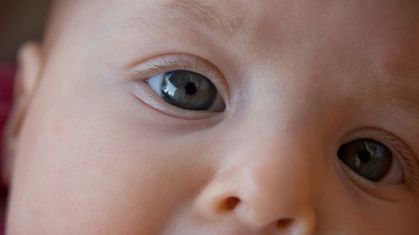 Белки глаз новорожденного. Глаза у новорожденных. Глаза новорожденного ребенка. Серый цвет глаз у новорожденных. Цвет глаз новорожденного ребенка.