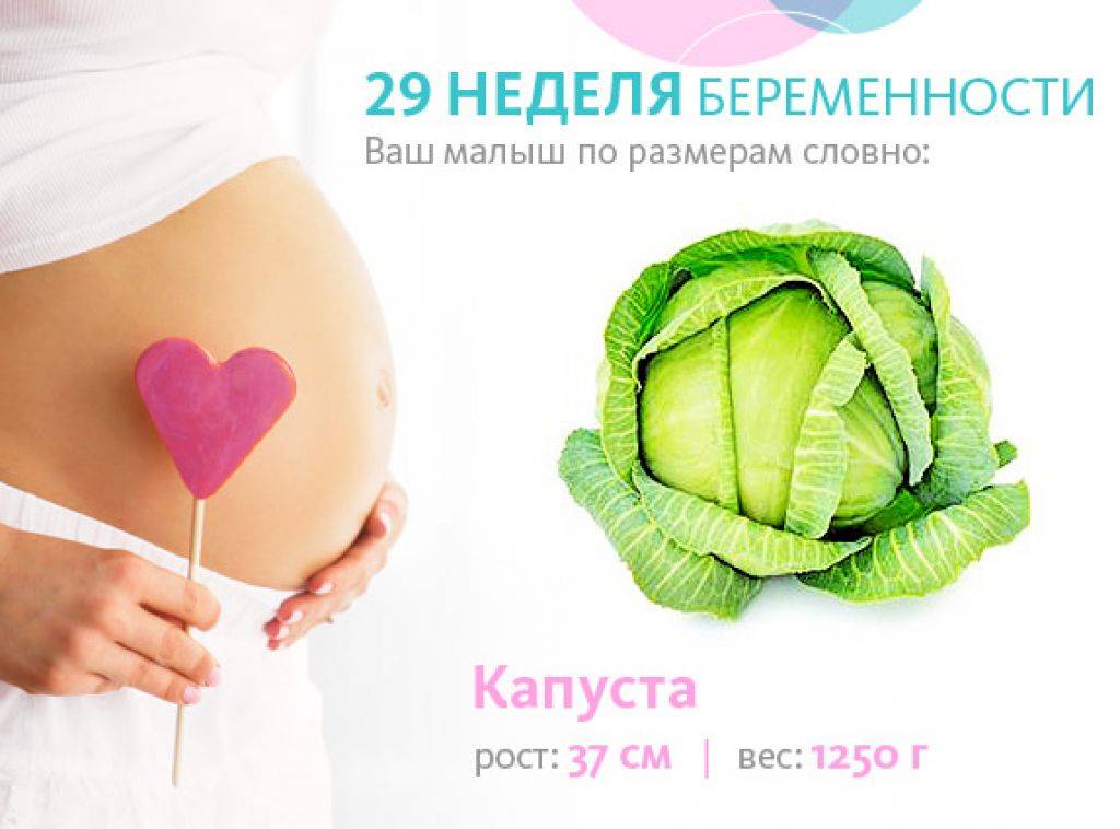 29 недель вес плода. Размер ребенка на 28 неделе. 29 Неделя беременности вес. Вес ребёнка на 29 неделе беременности.