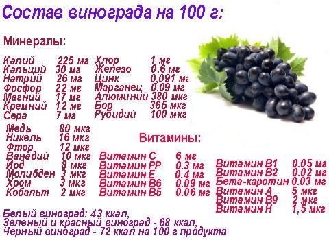 С какого возраста ребенку можно кушать виноград
