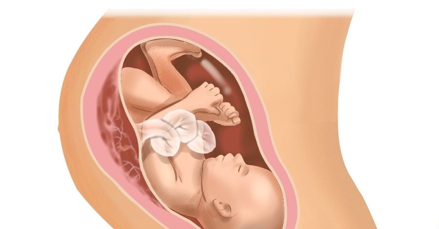 38 неделя беременности: что происходит с малышом и что чувствует женщина | развите плода и живот на 38 неделе беременности у женщин