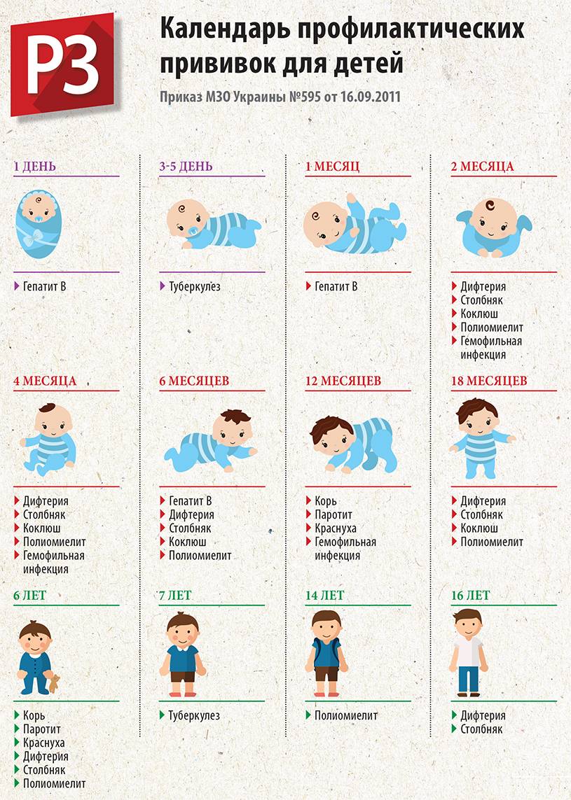 Список вакцинаций для детей от 3-х месяцев | вакцинация | профилактика и оздоровление | услуги