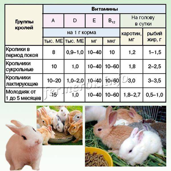 Сколько нужно варить кролика для малыша и что еще можно приготовить?