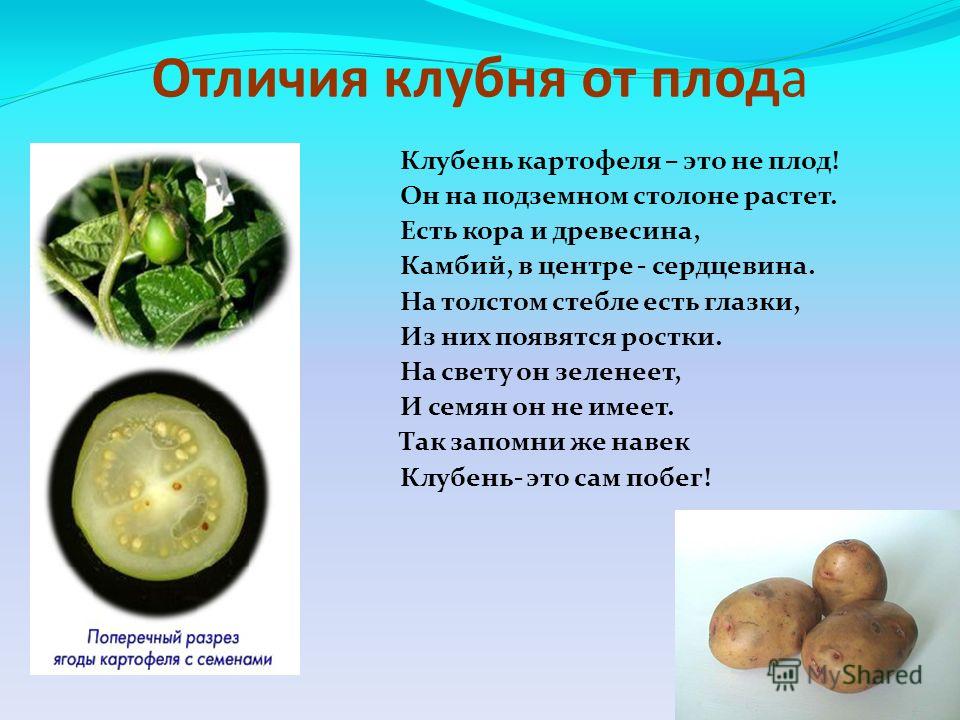 Диета № 3 при запорах