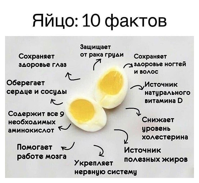 С какого возраста можно омлет ребенку | уроки для мам