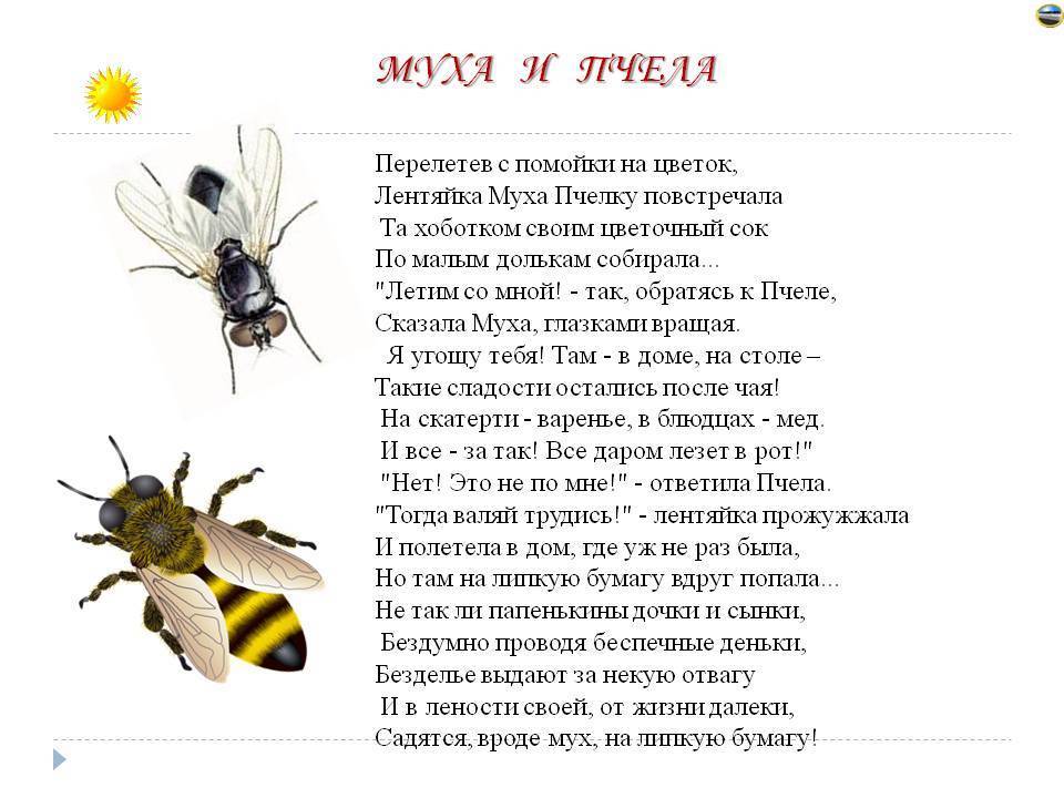 Текст и выполни задания пчелы. Муха и пчела стих. Пчелки. Притча про пчелу. Пчела для детей.