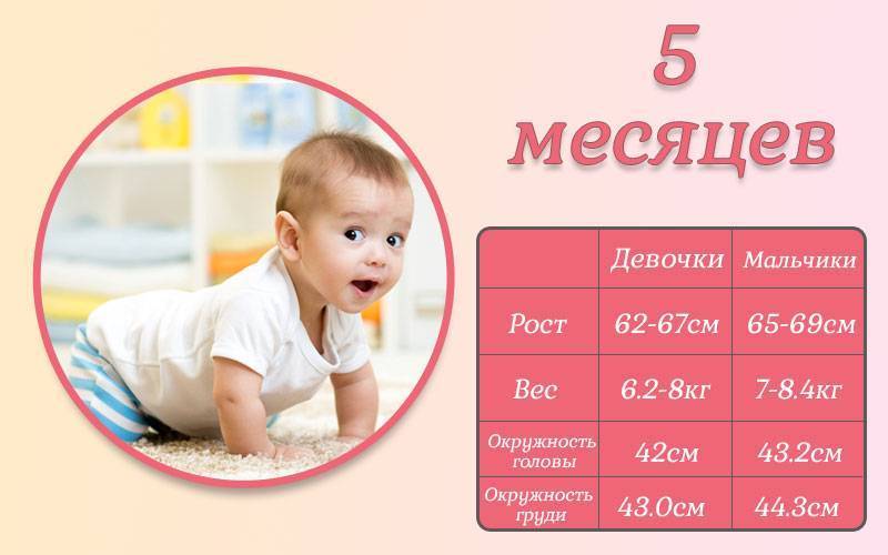 5 месяцев малышу: развитие, рост, вес, что должен уметь :: syl.ru