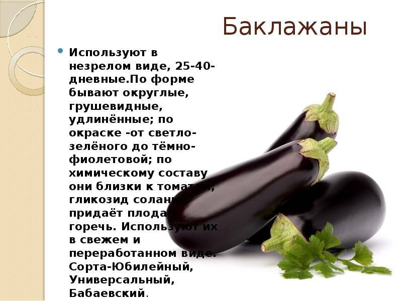 Можно ли беременным употреблять баклажаны и как? | sadsuper.ru