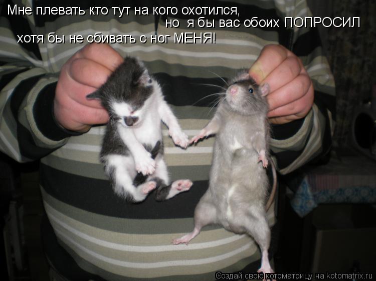 Каких игрушек не должно быть в детской: полезные советы