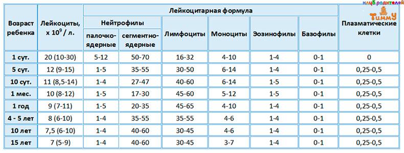 Повышенные лейкоциты в крови у ребенка: причины и норма показателей